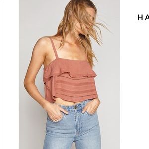 Amuse Society Terracotta Crop Top